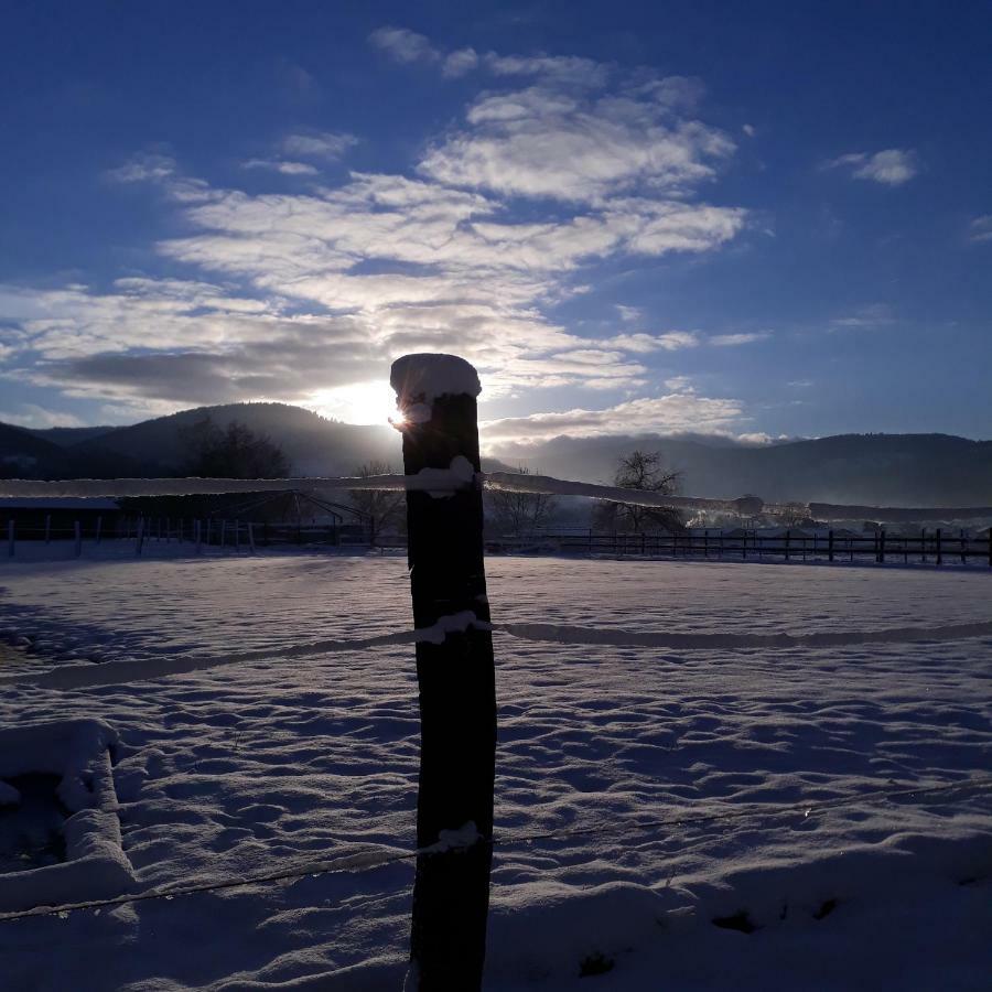Le Gite Du Cheval Blanc Fraize ภายนอก รูปภาพ