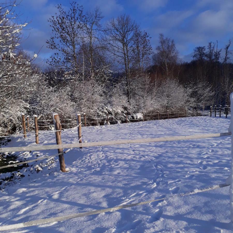 Le Gite Du Cheval Blanc Fraize ภายนอก รูปภาพ
